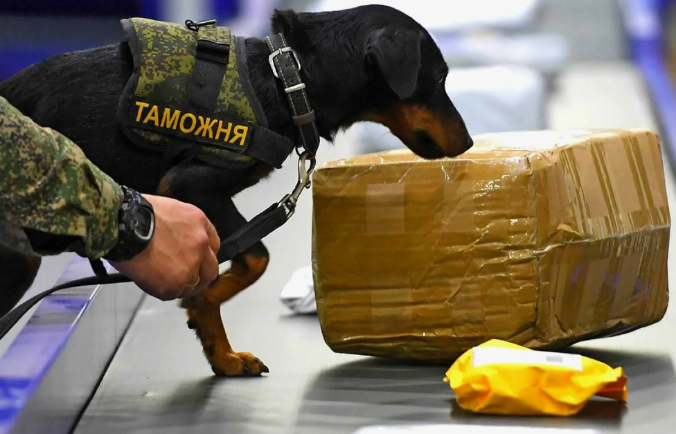 Таможенный брокер  задержанных грузов