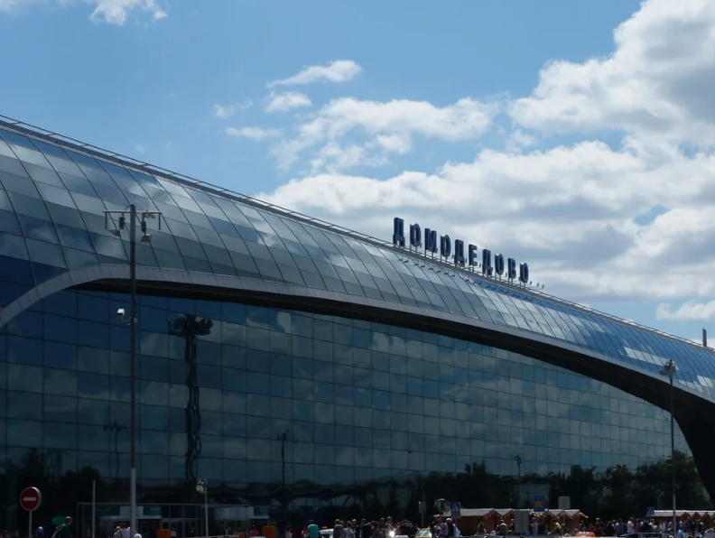Растаможка в Домодедово