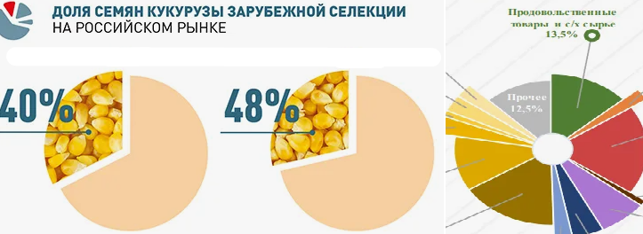 Растаможка и импорт семян через таможенного брокера