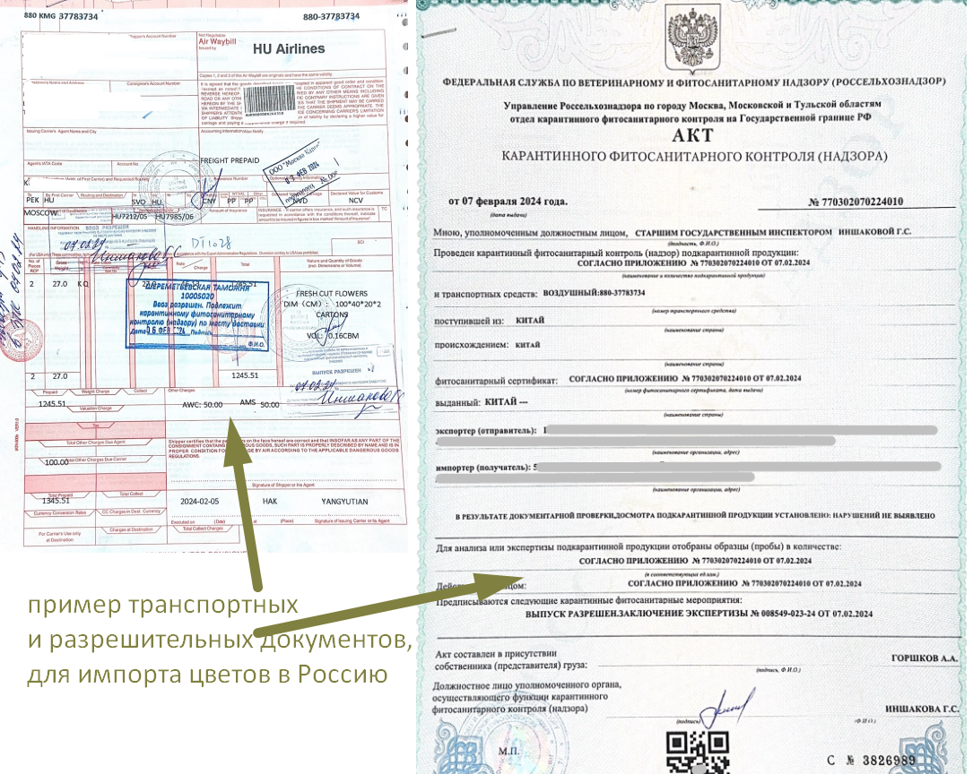 Таможенное оформление цветов при импорте в России из Китая