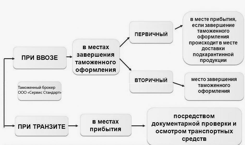 Таможенное оформление фитосанитарного груза